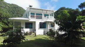 Posada Mango Tree